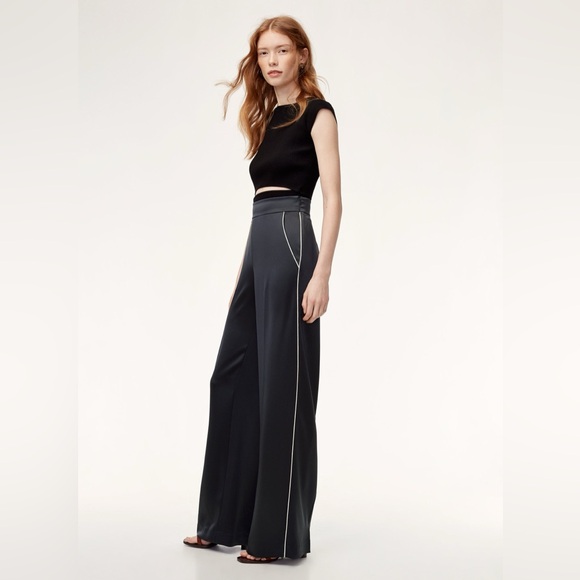 Aritzia Pants - WILFRED by ARITZIA NWOT Clarisse Pant